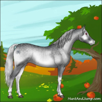 Horse Color:Silver Blue Onyx Chinchilla 
