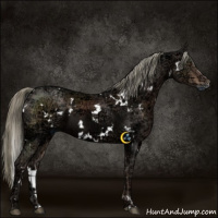 Horse Color:White Spotted Liver Chestnut Ice Mushroom 