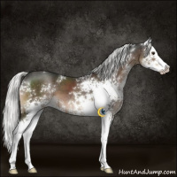 Horse Color:White Spotted Liver Chestnut Mushroom Splash 