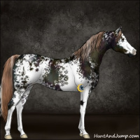 Horse Color:White Spotted Midnight Liver Red Onyx Ice Sabino 