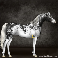 Horse Color:White Spotted Liver Chestnut Ice Mushroom