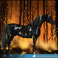 Horse Color:White Spotted Midnight Liver Chestnut Ice 