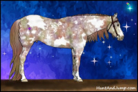 Horse Color:Nacre White Spotted Chestnut Ice Frame Rabicano 