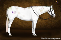 Horse Color:Nacre White Spotted Silver Bay Ice Onyx Rabicano 