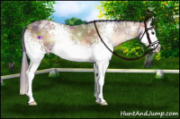 Horse Color:Nacre White Spotted Bay Ice Onyx Splash
