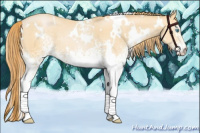 Horse Color:White Spotted Buckskin Pearl 