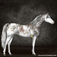 Horse Color:White Spotted Liver Chestnut Mushroom Splash Tobiano 