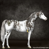 Horse Color:White Spotted Liver Red Dun Ice Mushroom Splash 