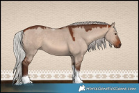 Horse Color:Silver Bay Dun Mushroom Sabino Tobiano