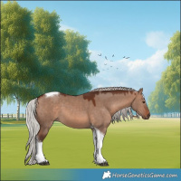 Horse Color:Silver Brown Dun Mushroom Sabino Tobiano 