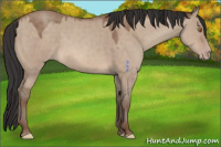 Horse Color:Sable Champagne Dun 