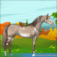Horse Color:White Spotted Liver Red Dun Frame