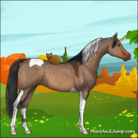 Horse Color:Brown Dun Tobiano 