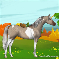 Horse Color:Silver Brown Dun Tobiano 