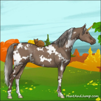 Horse Color:White Spotted Liver Red Dun 