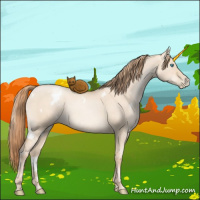 Horse Color:White Spotted Gold Champagne Pearl Dun 