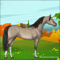 Horse Color:Brown Dun Tobiano 