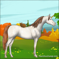 Horse Color:White Spotted Sable Cream Champagne Pearl Dun