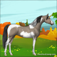 Horse Color:Brown Dun Tobiano Frame 