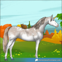 Horse Color:White Spotted Liver Red Dun Ice Splash 