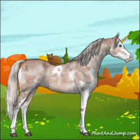 Horse Color:Silver Brown Ice Dun Sabino Splash 