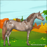 Horse Color:White Spotted Liver Red Dun Ice 