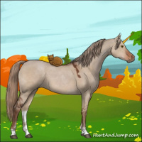Horse Color:Liver Red Dun Sabino 