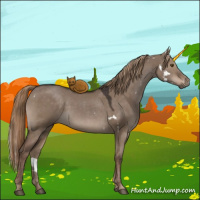Horse Color:White Spotted Liver Red Dun 
