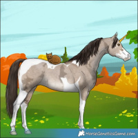 Horse Color:Liver Red Dun Ice Sabino Tobiano 