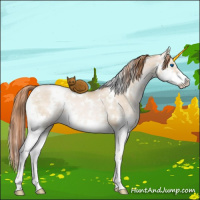 Horse Color:White Spotted Buckskin Pearl Dun Sabino Splash 