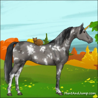 Horse Color:White Spotted Grullo Ice 