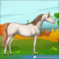 Horse Color:Buckskin Pearl Dun Sabino 