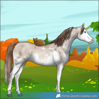 Horse Color:White Spotted Brown Ice Pearl Dun Splash 