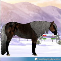 Horse Color:Void Silver Bay Roan Splash Appaloosa 