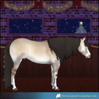 Horse Color:Liver Red Dun Onyx 