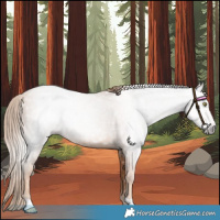Horse Color:Gray Gold Champagne 