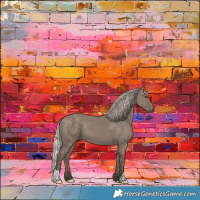 Horse Color:Silver Grullo