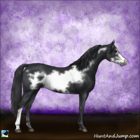 Horse Color:Black Frame 