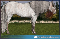 Horse Color:White Spotted Bay Roan Rabicano  and Silver Blue Roan Rabicano 