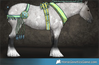 Horse Color:White Spotted Grullo Roan
