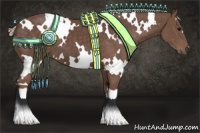 Horse Color:White Spotted Silver Black 