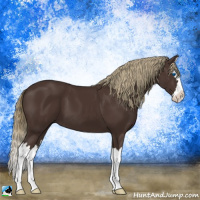 Horse Color:Liver Chestnut Sabino Splash 