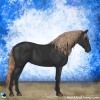 Horse Color:Liver Chestnut Rabicano