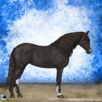 Horse Color:Liver Chestnut Sabino