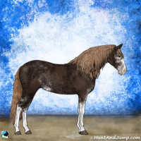 Horse Color:Liver Chestnut Ice Sabino Rabicano 