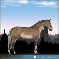 Horse Color:Silver Brown Dun Tobiano 