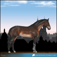 Horse Color:Brown Tobiano