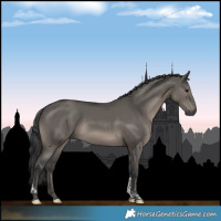 Horse Color:Grullo Tobiano 