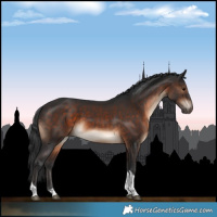 Horse Color:Brown Tobiano 