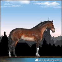 Horse Color:Brown Tobiano